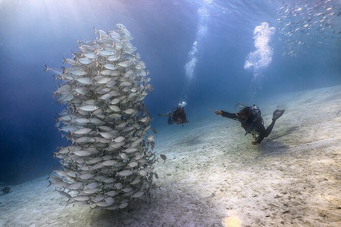 (2 Dives) Discover Scuba Diving Kota Kinabalu - After lunch on Sapi Island: the boat stop and reef viewing