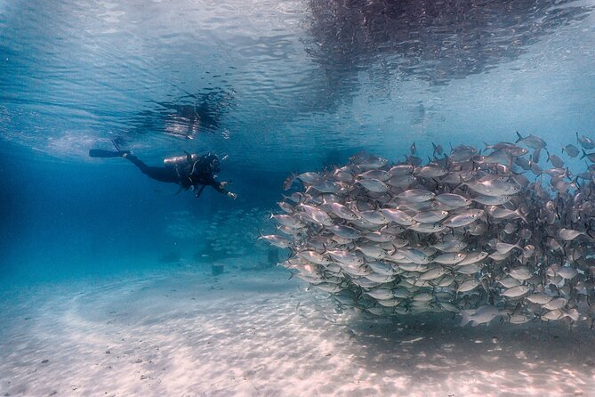 (2 Dives) Discover Scuba Diving Kota Kinabalu - Arriving at Jesselton Point, then getting on the boat fast