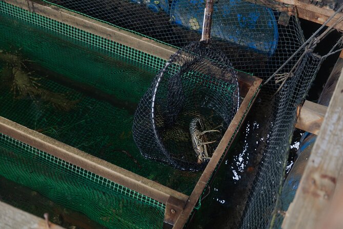 2 Hours Private Mangrove Tour Langkawi - What’s included, what’s not, and the small details that matter