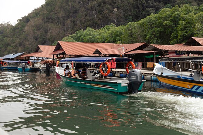 2 Hours Private Mangrove Tour Langkawi - How to choose the right moment to book