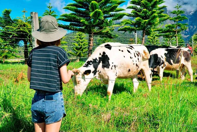 2d1n Kinabalu Park & Poring Canopy Walk & Desa Cow Farm Tour - Key things to know before you go