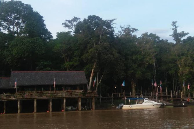 2D1N Sandakan Private Tour with Kinabatangan River Cruise - Kinabatangan River cruise: wildlife watching that feels alive