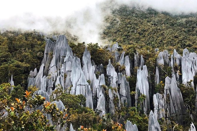 3 Days 2 Nights Unesco World Heritage Mulu 4 Showcaves - Key highlights at a glance