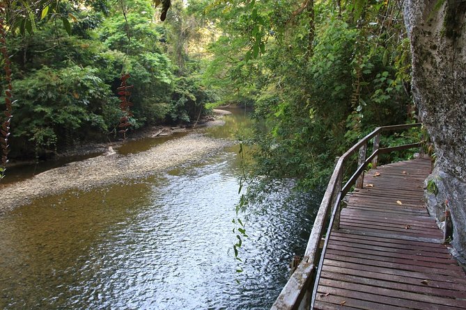 3 Days 2 Nights Unesco World Heritage Mulu 4 Showcaves - Why Gunung Mulu caves are such a strong pick