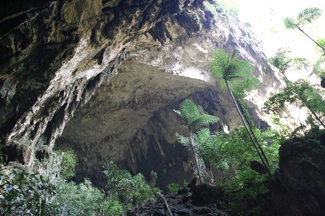 3 Days 2 Nights Unesco World Heritage Mulu 4 Showcaves - Getting it right with guide Boni and timing that respects flights