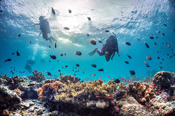 (3 Days) PADI Open Water Diver Course Kota Kinabalu - Day 3: Open-Water Sessions, Final Exam, and Certification