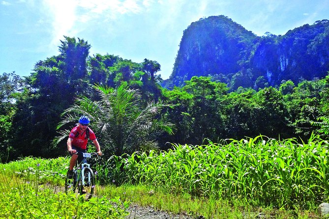 3-in-1 Ultimate Borneo Expedition Adventure - Key highlights worth knowing before you go