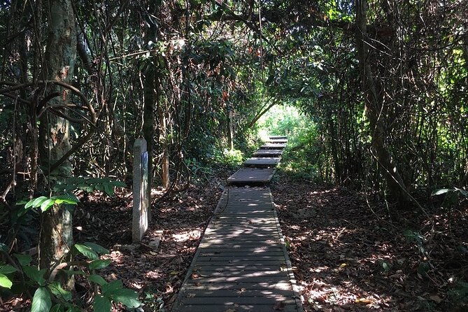 4-Day Jungle Experience in Taman Negara from Kuala Lumpur - Day 1, the long transfer and your first night jungle walk