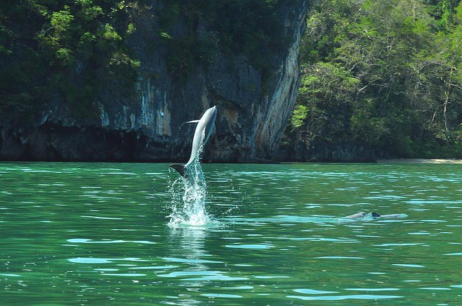 5 Hours Sharing Basis Kilim Mangrove Safari Boat Tour in Langkawi - Gua Kelawar Bat Cave: Two or Three Bat Species in Limestone