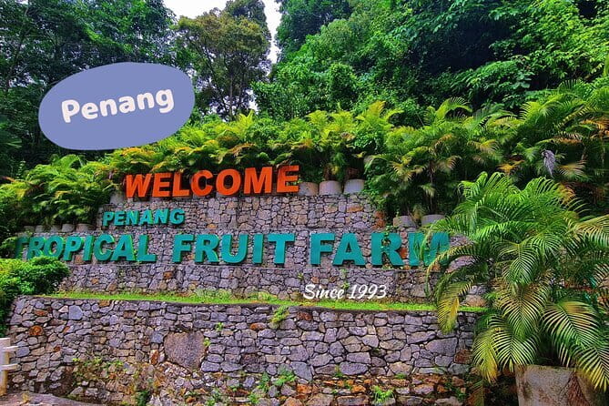 6 Hours Enchanting Exploration in Penang - How the guides make the experience better than a fixed checklist