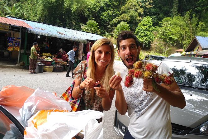 Amazing Cameron Highland Day Tour From Kuala Lumpur - From Kuala Lumpur to the Highlands, It’s a Real Day Trip