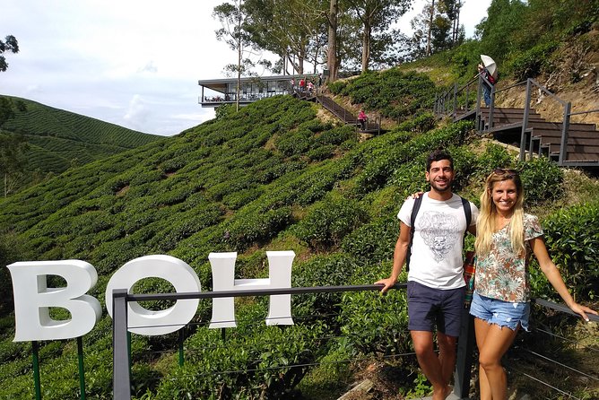 Amazing Cameron Highland Day Tour From Kuala Lumpur - Raju Hill Strawberry Farm, Handpicking, and Paying for What You Want