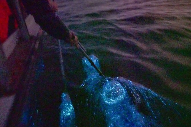 Amazing Fireflies With Blue Tears Watching & Kuala Selangor Tour - Getting out of Kuala Lumpur, and why the drive matters