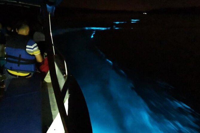 Amazing Fireflies With Blue Tears Watching & Kuala Selangor Tour - Blue tears watching: how the glow actually happens