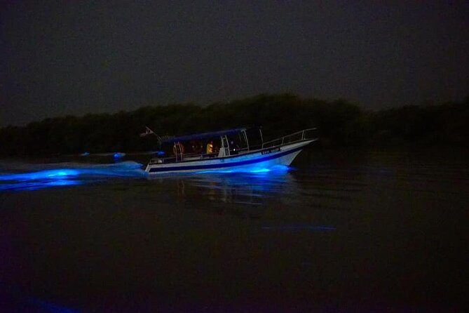 Amazing Fireflies With Blue Tears Watching & Kuala Selangor Tour - Price and value: is $55.92 fair for this kind of night?
