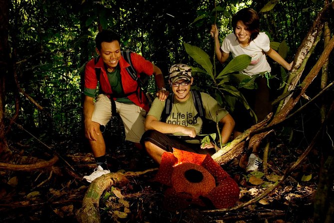Amazing Taman Negara Day Trip from Kuala Lumpur Including Lunch - Key highlights worth knowing before you go