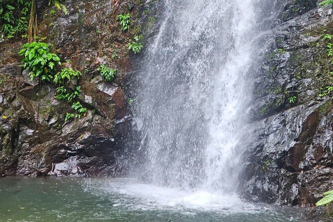 ATV Jungle Trail & Waterfall Experience with Hotel Transfer - Off-road jungle trails: what makes this ATV route feel real