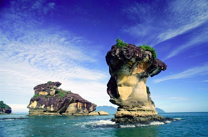 Bako National Park from Kuching City - What wildlife you should aim for, plus photo expectations