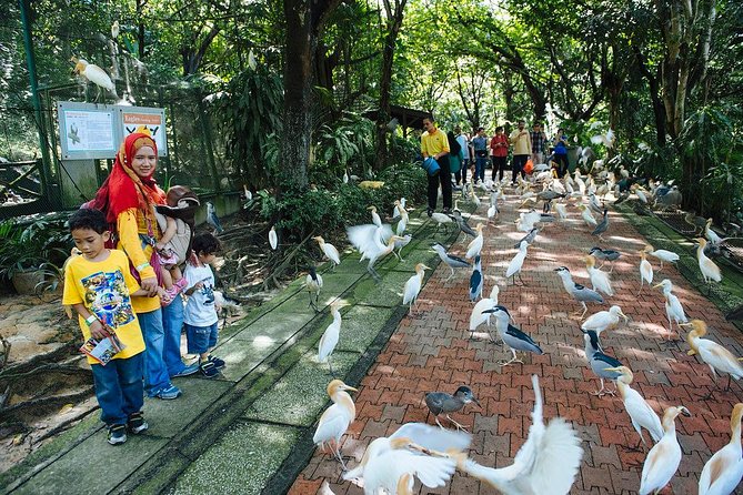 Bird Park & Butterfly Farm Nature Include All Entrance Tour From Kuala Lumpur - Stop 2: Kuala Lumpur Butterfly Park, a garden built for photos