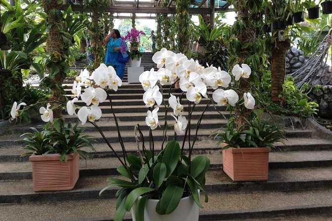 Bird Park & Butterfly Farm Nature Include All Entrance Tour From Kuala Lumpur - How the included tickets change the trip experience
