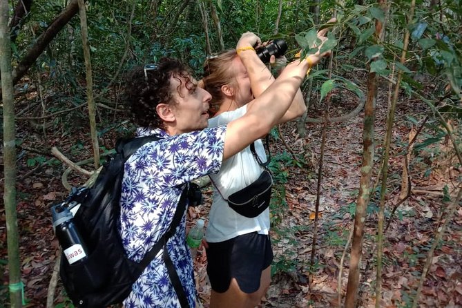 Birdwatching: Desaru's Winged Gems - Why Desaru Coast is a strong choice for birdwatching