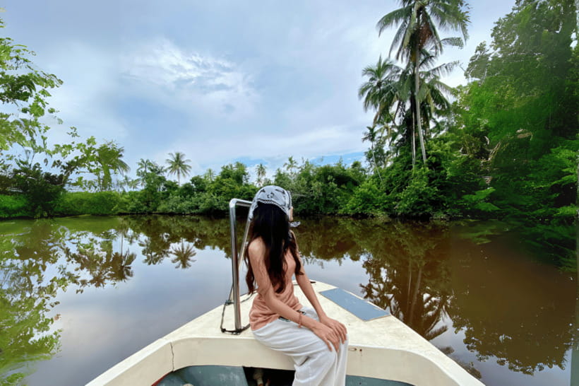 Bongawan River Cruise: Proboscis Monkey & Fireflies Mangrove - Price and logistics: what you really pay for at $58