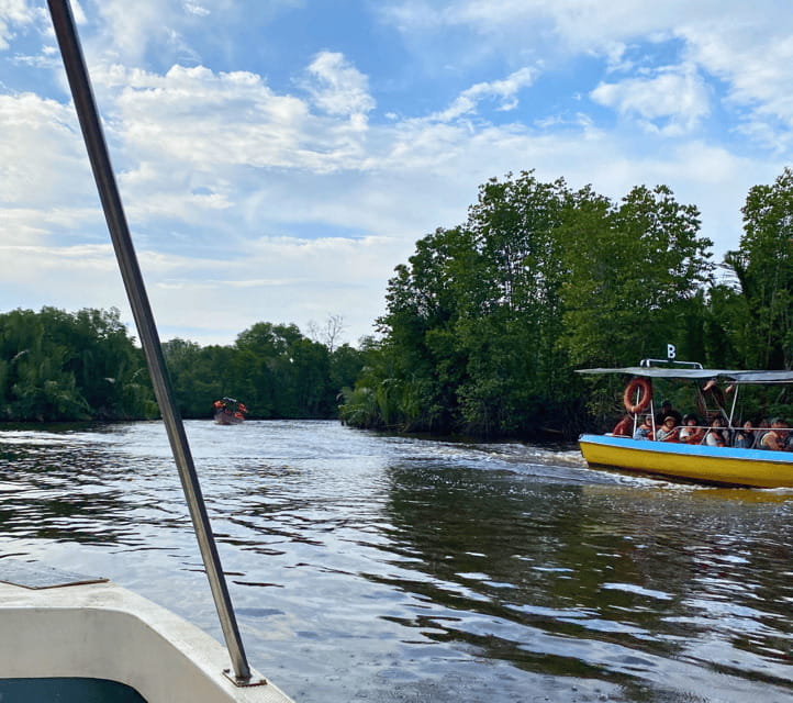 Bongawan River Cruise: Proboscis Monkey & Fireflies Mangrove - Cocoa Kingdom chocolate factory: samples that actually feel local