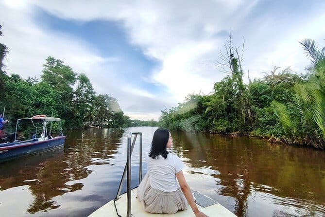 Bongawan River Cruise Proboscis Monkey, SkyMirror, Fireflies - From The Shore meetup to a full nature day