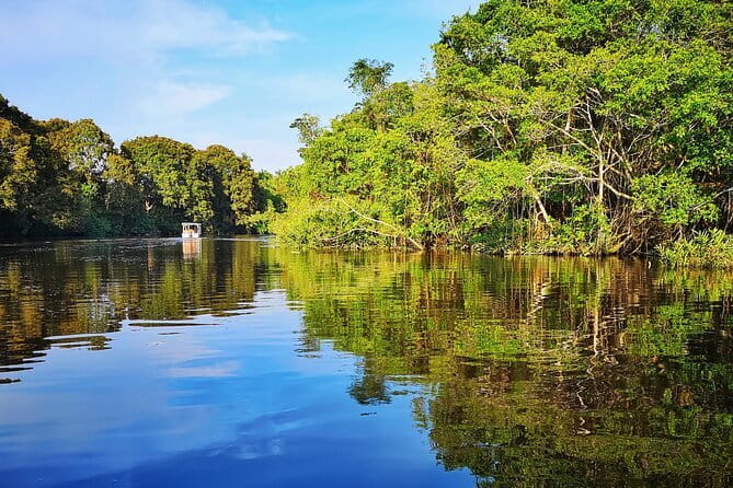 Bongawan River Cruise Proboscis Monkey, SkyMirror, Fireflies - Bongawan Jetty and the river cruise: where the wildlife actually happens