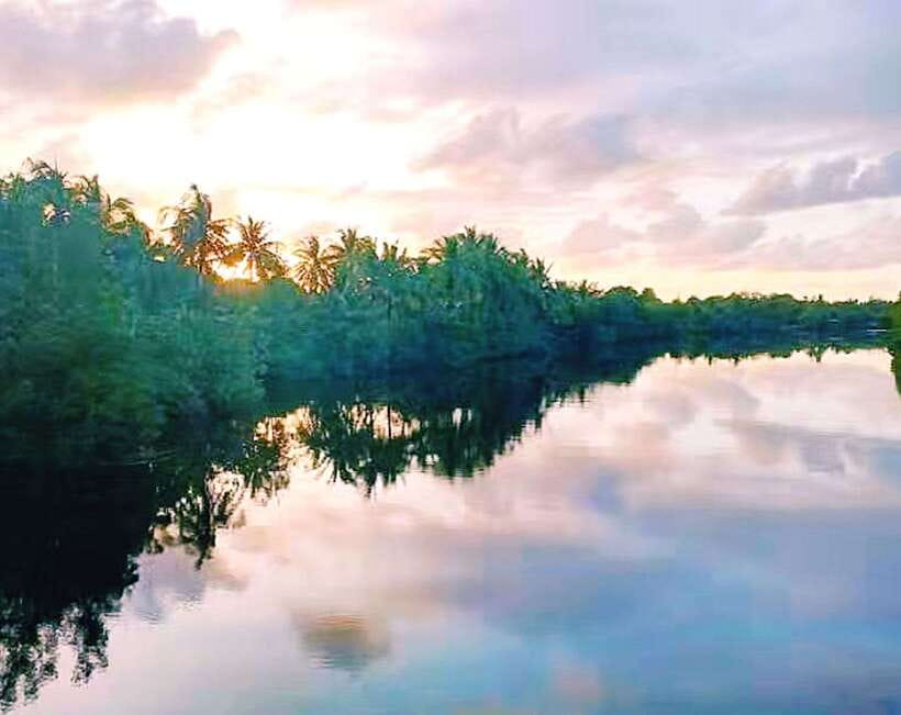 Bongawan Wetland: Proboscis Monkey and Fireflies Shared Tour - Bongawan Wetland and why this day feels special