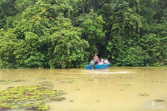 Borneo Kinabatangan River Cruise Day Trip - Dinner at the Lodge, Then the Return to Sandakan