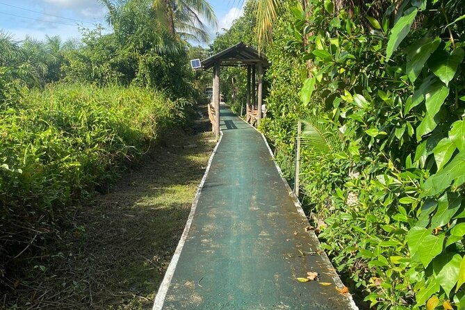 Borneo (Klias) River Cruise & Fireflies Tour - How Much Time You Really Spend on the Water