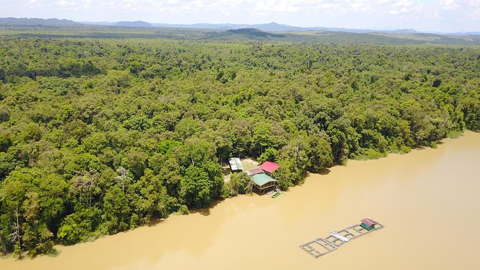 Borneo Wildlife Tour 3 Days 2 Nights At Tanjung Bulat Jungle Camp Kinabatangan - Day 3: Breakfast, Check Out at 9am, and Late Checkout Options