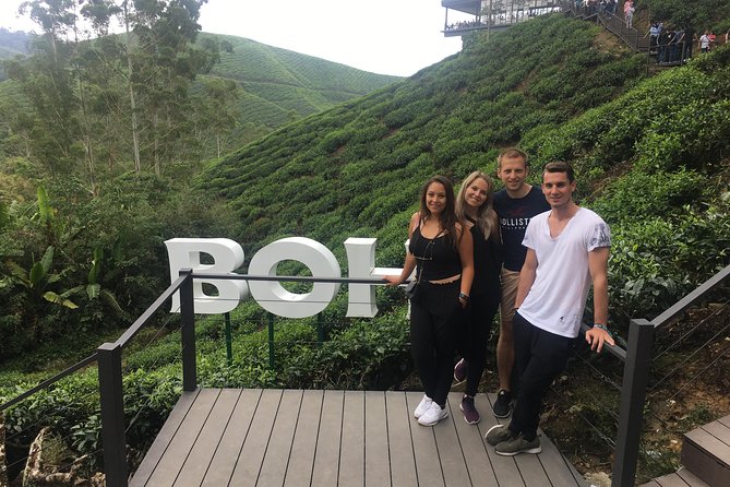 Cameron Highland Best Day Tour from Ipoh with Lunch ( Day Trip) - Why a private Cameron Highlands day trip from Ipoh makes sense