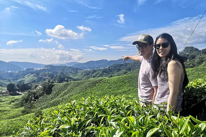 Cameron Highland Best Day Tour from Ipoh with Lunch ( Day Trip) - BOH Tea Centre and the tea factory walkthrough