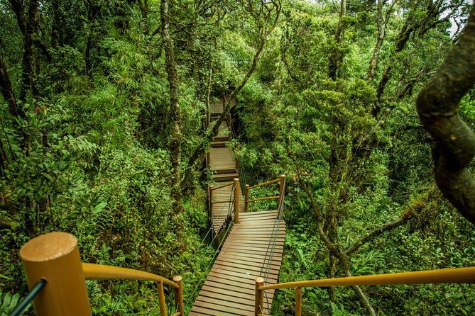 Cameron Highland Day Tour from Kuala Lumpur - Gardens, honey bees, and cactus: pretty stops with real learning moments