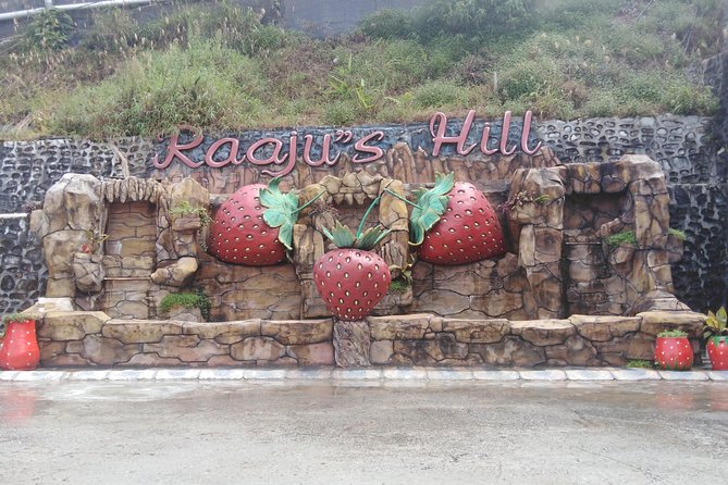 Cameron Highland Private Day Tour - Your Day at a Glance, From 6 to 12 Hours