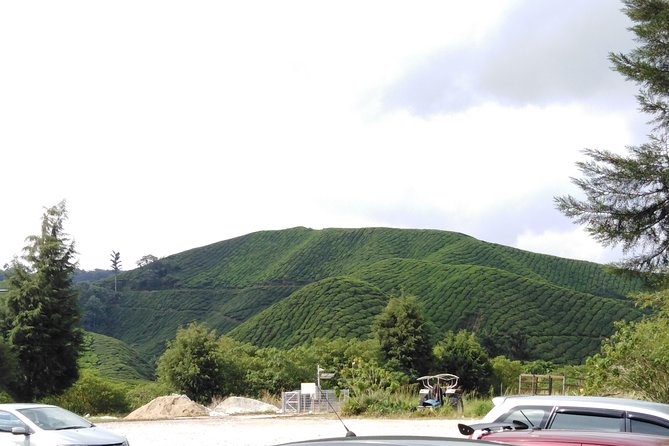 Cameron Highland Private Day Tour - Markets and Farms: Where You Get to Wander