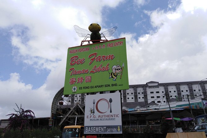 Cameron Highland Private Day Tour - Real-World Considerations: Weather, Language, and Open Doors