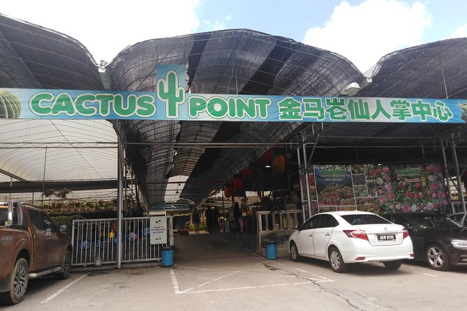 Cameron Highland Private Day Tour - Who This Private Day Tour Suits Best