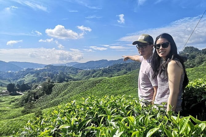 Cameron Highland Private Day Tour From Ipoh - Stop 1: Boh Tea Estate and why the altitude matters