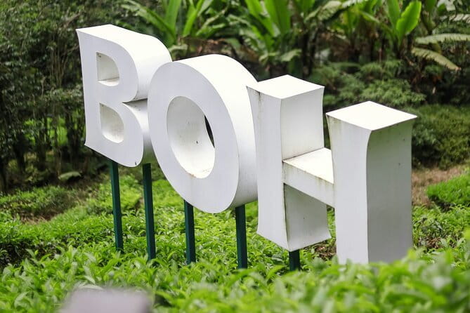 Cameron Highland Private Day Tour From Ipoh - Stop 4: Kea Farm Market for produce and quick souvenirs