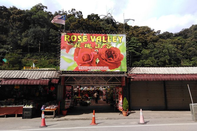 Cameron Highland Private Day Tour - Stop by Stop: Waterfall, Tea, Old British Houses, and Tea Estates