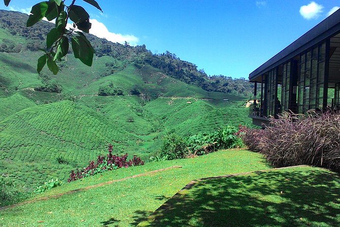 Cameron Highlands 3 Days 2 Night Tours Private (per Vehicle) - Cameron Highlands, Set Up for an Easy 3 Days