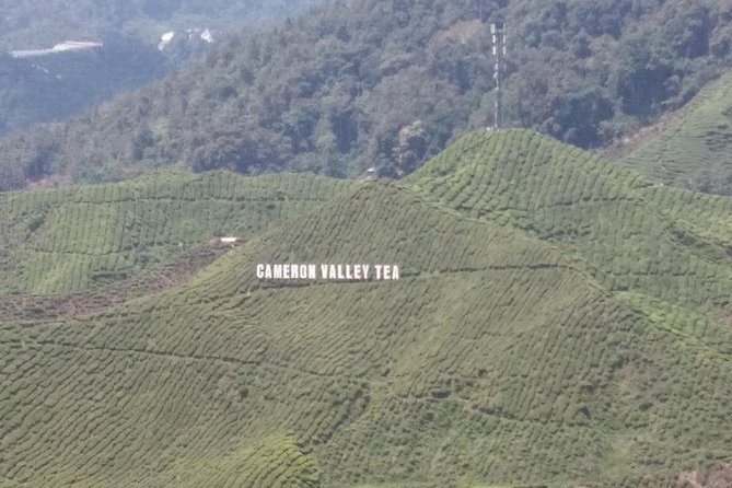 Cameron Highlands 3 Days 2 Night Tours Private (per Vehicle) - Day 1: Waterfall Time at Lata Iskandar, Then Tea Views