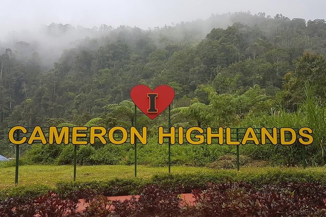 Cameron Highlands Amazing Day Trip Tour with Local Lunch - Key reasons this Cameron Highlands trip works
