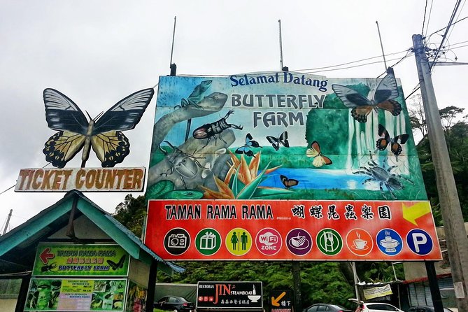 Cameron Highlands Amazing Day Trip Tour with Local Lunch - Getting there smoothly: pickup, timing, and how to prep