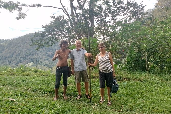 Cameron Highlands Day Trip - Cameron Highlands in a single day: why it works so well