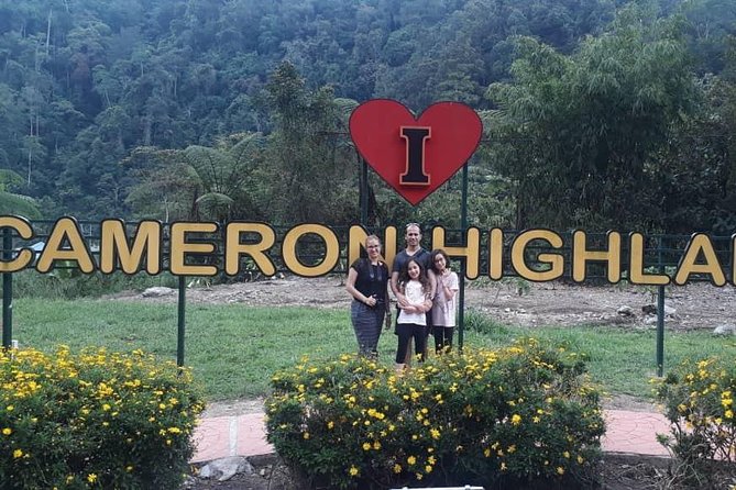 Cameron Highlands Day Trip From Kuala Lumpur - Big Red Strawberry Farm: hydroponic strawberries and farm energy