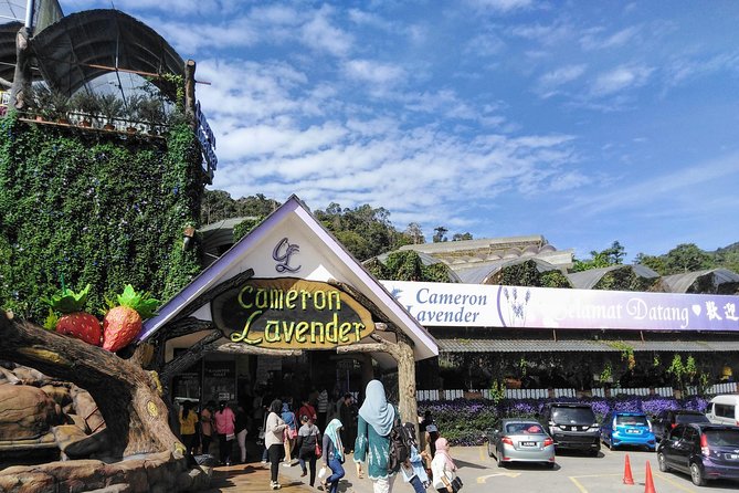 Cameron Highlands Day Trip From Kuala Lumpur - Stop 1: Lata Iskandar for a quick nature break